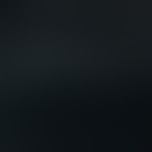 Meet your Posher, Bella